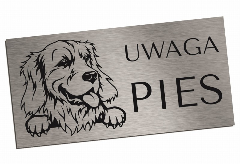 Tabliczka UWAGA PIES Golden retriever