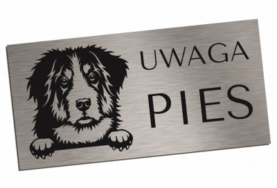 Tabliczka UWAGA PIES Berneński pies pasterski