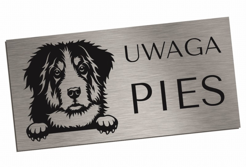 Tabliczka UWAGA PIES Berneński pies pasterski