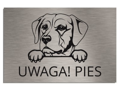 Tabliczka UWAGA PIES LABRADOR 20x30cm