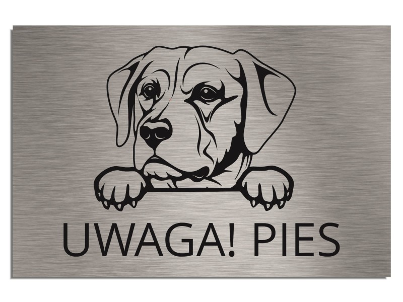Tabliczka UWAGA PIES LABRADOR 20x30cm